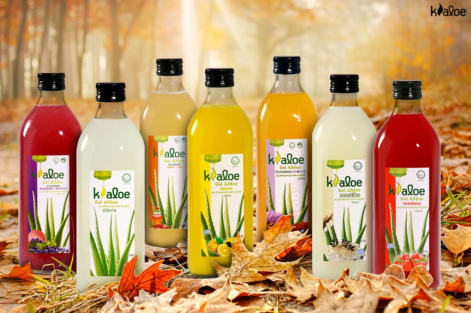 Juices-Promo-october